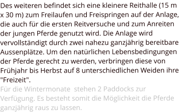 Des weiteren befindet sich eine kleinere Reithalle (15 m x 30 m) zum Freilaufen und Freispringen auf der Anlage, die auch für die ersten Reitversuche und zum Anreiten der jungen Pferde genutzt wird. Die Anlage wird vervollständigt durch zwei nahezu ganzjährig bereitbare Aussenplätze. Um den natürlichen Lebensbedingungen der Pferde gerecht zu werden, verbringen diese von Frühjahr bis Herbst auf 8 unterschiedlichen Weiden ihre "Freizeit". Für die Wintermonate  stehen 2 Paddocks zur Verfügung. Es besteht somit die Möglichkeit die Pferde ganzjährig raus zu lassen.